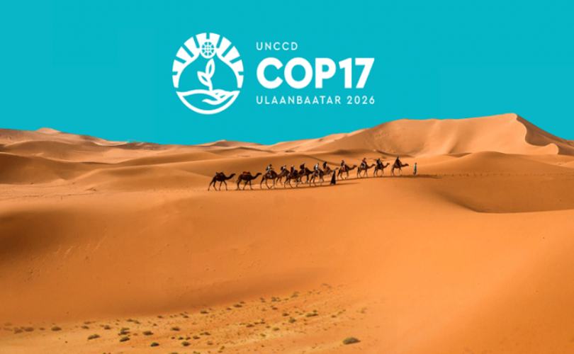 "COP17" гэж юу вэ?
