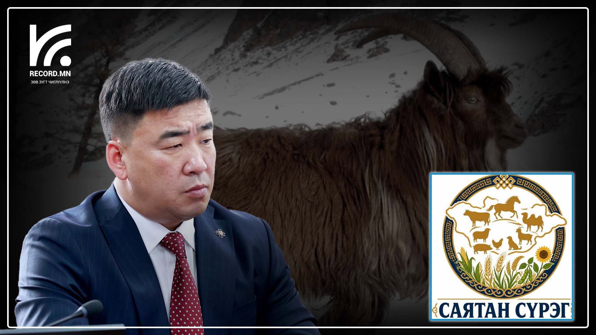 "Саятан сүрэг" гэх дэлгүүр ухна оруулж ирээгүй гэх боловч ХХААХҮ-ийн сайд нь тус дэлгүүр хаашаа хаашаа зарснаа ч хэлэхгүй байна гэж мэдэгдэв